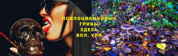 марихуана Абаза