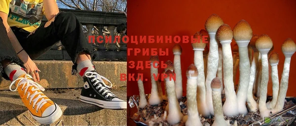 mdpv Абдулино