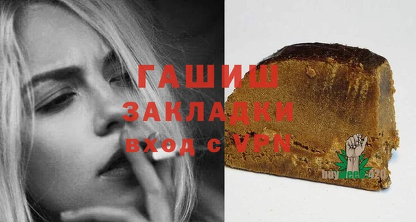 хмурый Алексин