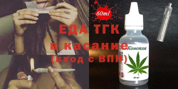 хмурый Алексин